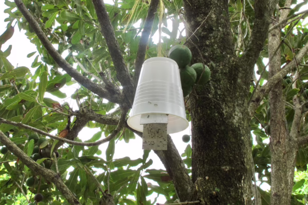In wet areas, cards can be stapled inside a plastic cup.
But usually protection not required.
